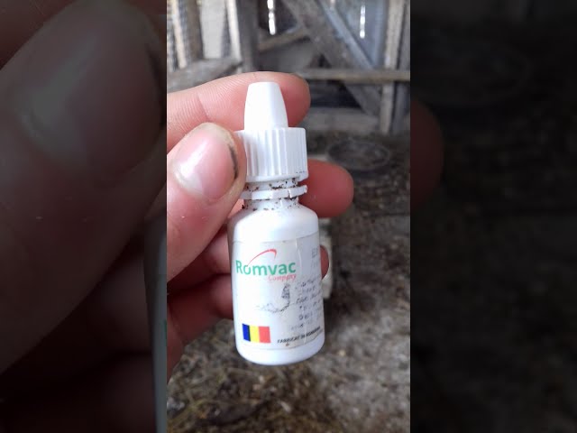 Endectocid Tratament Exceptional Youtube