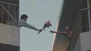 Download Lagu Yellow but all your dreams are slowly fading away MP3 Download Lagu Yellow but all your dreams are slowly fading away MP3