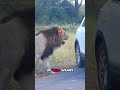 Animal Kingdom Moments You Never Imagined Seeing #wildlife #savageanimals