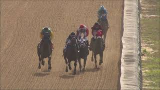 Race 8 Master 2024 08 31