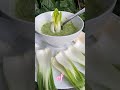 Raw Vegan Cucumber Noodles With Creamy Cilantro Dressing With Bok Choy😍✨