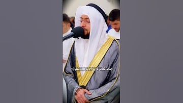 سورة الحجر - أحمد النفيس #اكسبلور #المصحف #قرآن #لايك