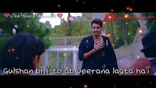 Hum teri yaadon mein khoye rehte hai