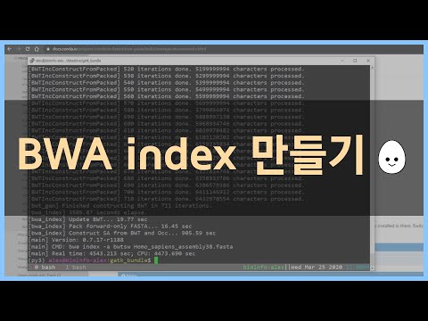 [WES 분석 #6] BWA index 만들기