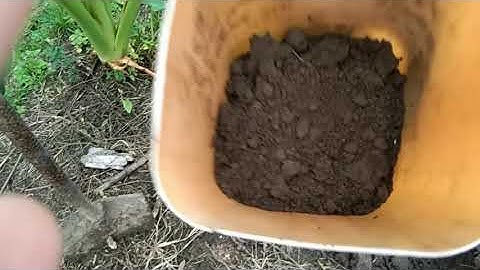 Collection and Preparation of Soil Samples