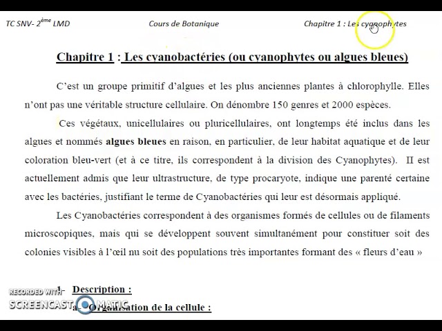 bootanique L2 chapitre 1
