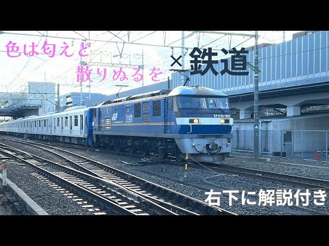 色は匂えど散りぬるを×鉄道#鉄道pv 