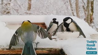 Intense Vibes! Japanese Tits in Battle Mode  Gathering of Three