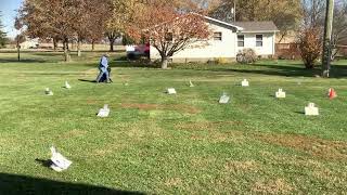 AKC Virtual Rally Intermediate Course #2