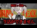 【新卒1年目で解雇】その後のリアルな人生。解雇は社会復帰厳しいです。【Vlog】