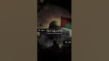 #و الله يؤيد بنصره من يشاء ان في ذلك لعبرة لأولي الابصار 🍃ايات من سورة آل عمران