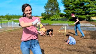 The Daily Work Behind Feeding Our Family from the Land (+ more planting)