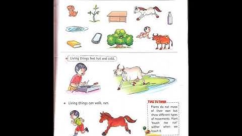 chapter 1 || our surrounding | class 2 | green India evs book ||