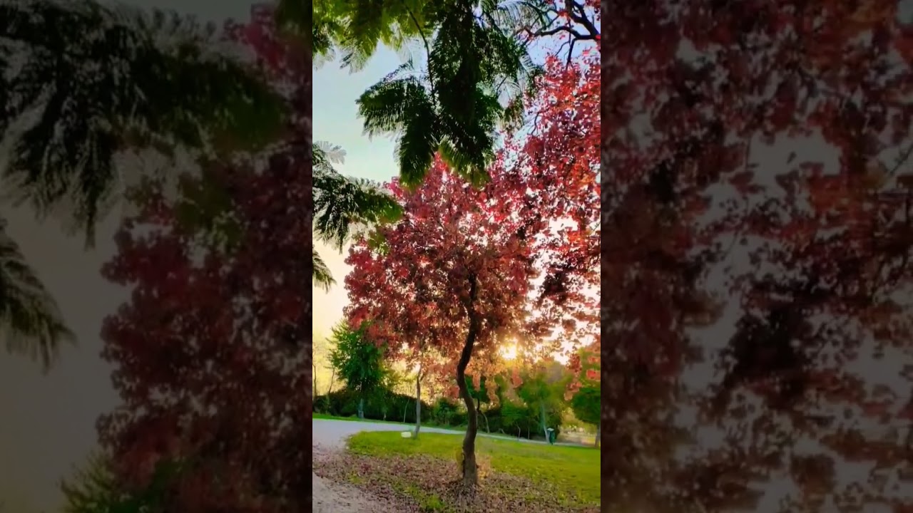 Obsessed with These Autumn Colours 🍂 