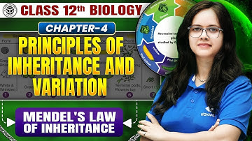 Class 12th Biology Chapter 4 | Principles of Inheritance & Variation | Mendel’s Law | UP Board 2026