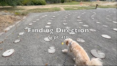 Sept 4th: Finding Direction - Language of Letting Go: daily meditations for Codependents | M.Beattie