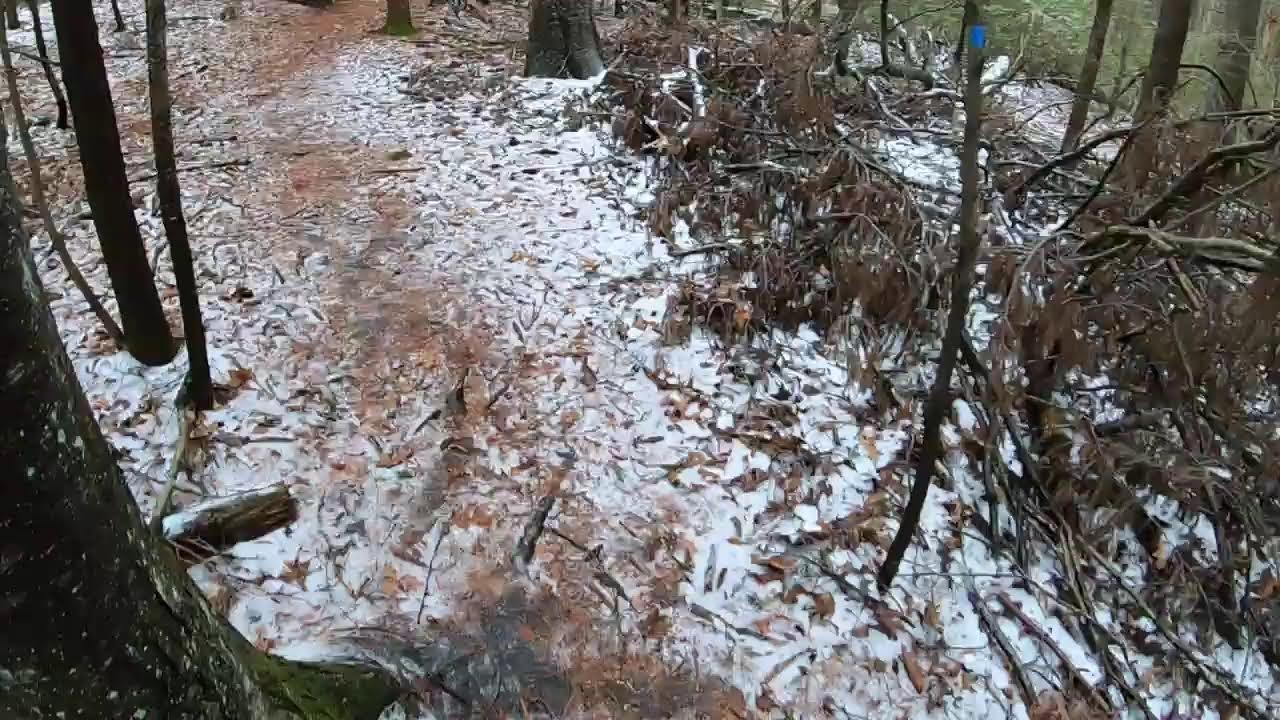 Live Hiking Test!