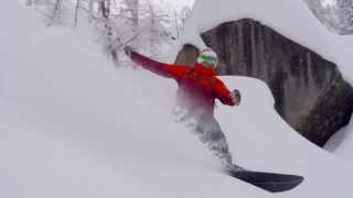 Your Venture Starts Here: The Shape Shack