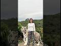 R.anh Con Thẩm Mĩ Thành Con Hổ Trắng Khổng Lồ