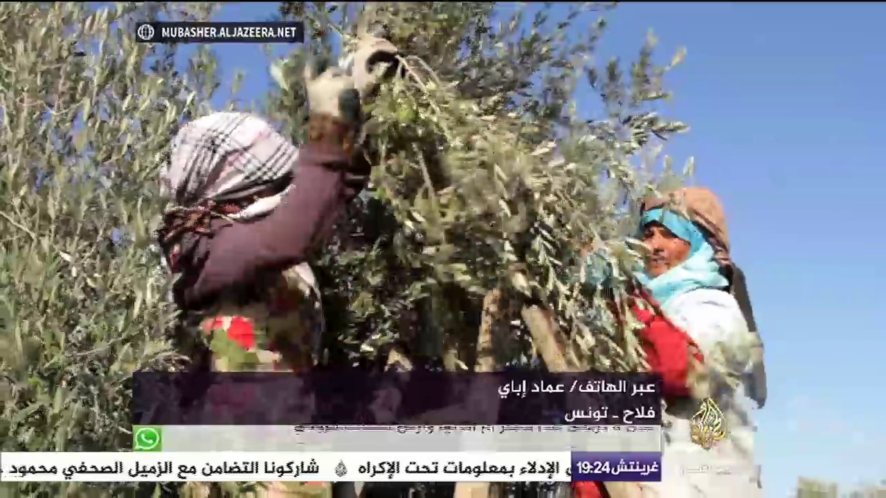 نافذة تفاعلية || تأزم أوضاع الفلاحين في تونس منذ الثورة وإشكاليات مستمرة مع الحكومة