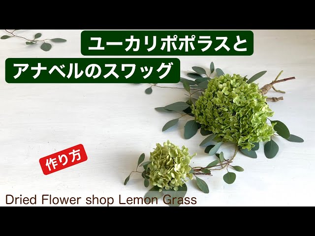 How to make a eucalyptus poplar and Annabelle swag - YouTube