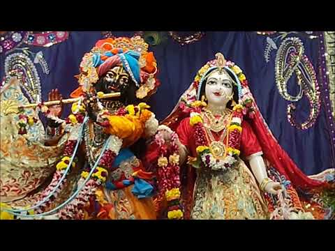 MAHARASHTRA ISKCON Temple Darshan | Hare Krishna Divine Vibes 🙏ISKCON Temple Aarti & Kirtan #om 