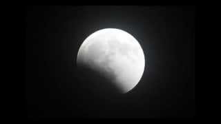 Lunar Eclipse 2010