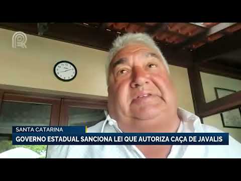 Santa Catarina: governo estadual sanciona lei que autoriza caça de javalis | Canal Rural
