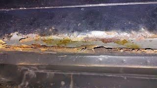 DYS How to fix a rusty rocker panel in your Chevy Cruze. #dys #chevroletcruze  #chevy #chevycruze