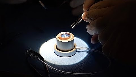 DMEK Corneal Transplant Training | Ophthalmology Simulation | AKU-CIME