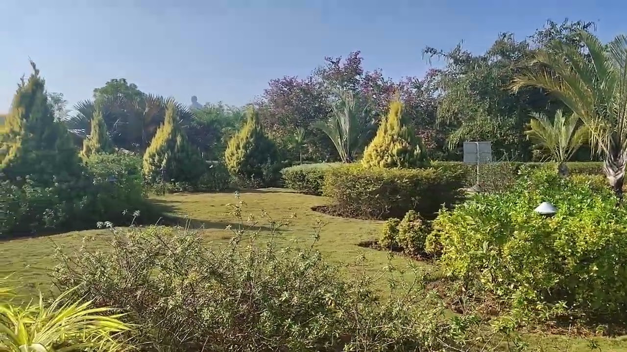 Embrace of nature is the basis of life it communicates greenery and happiness🎄🏡