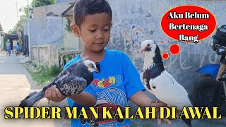 LOSING THE RACE, THE FEMALE PIGEON WAS RELEASED