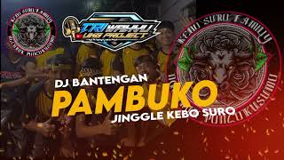 Download Lagu Dj Bantengan ‼️PAMBUKO VOLL 2‼️ (KEBO SURO).. RE MIXER BY @wmlightingg 💥💥💥 MP3