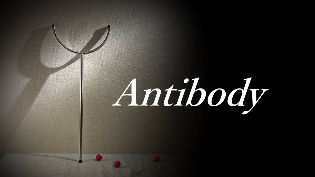 My RØDE Reel 2021 - Antibody