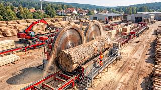 Inside Mega Wood Factory – How Logs Become Plywood Tables (Full Process)