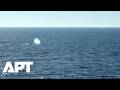 Watch: ‘Timmy’ The Humpback Whale Swims Free Into North Sea After Release | APT
