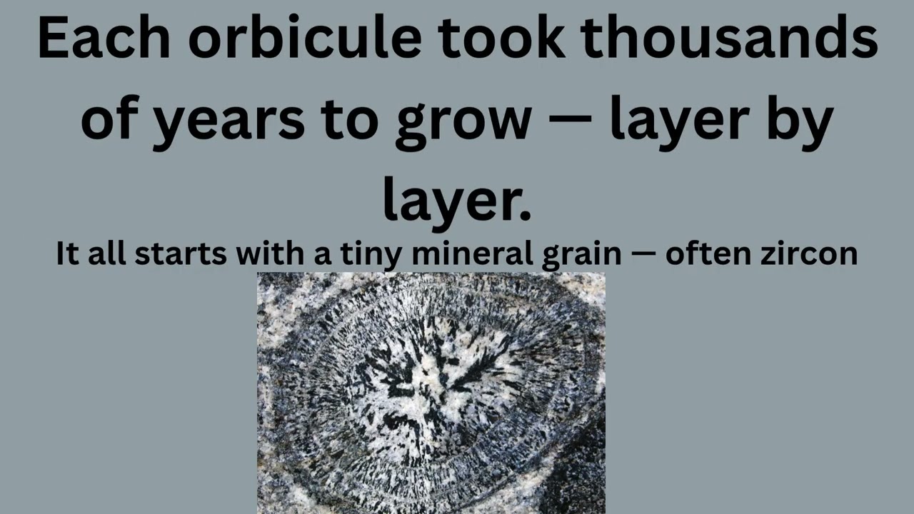 Orbicular Granite: Nature’s Concentric Wonder