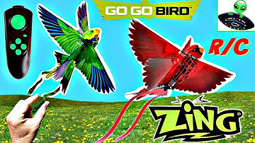 ZING Go Go Bird