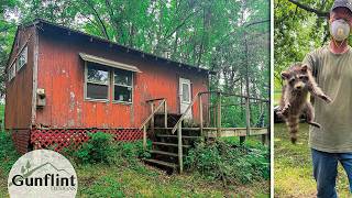 Eviction Time! Saving The Cabin From Raccoon Invasion
