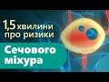 Травень - місяць інформованості про рак сечового міхура (Bladder Cancer Awareness Month)