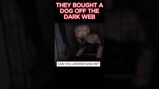 THEY BOUGHT A DOG OFF THE DARK WEB || #ghost #haunted #paranormal #spirituality #creepy #fyp #viral