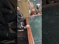 Live highlight