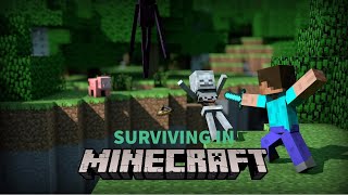Surviving in Minecraft part 2