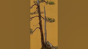 Formal Upright Juniper Bonsai #bonsai #bonsaitrees #juniper