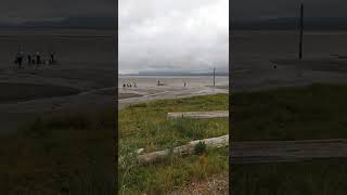 English Boom Trail - Camano Island Washington