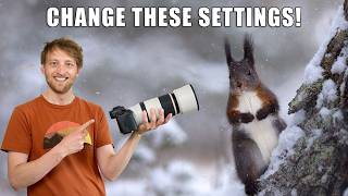 Canon R5 II & R6 III - 10 Crucial Settings for Wildlife Photography