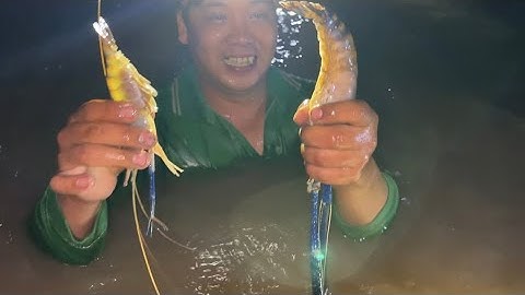 Trúng Mánh Nguyên Bầy Tôm Càng Xanh Con Bành Bành Không Thoát Được Bàn Tay Của Cao Thủ | Cldv