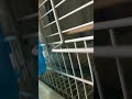 爽ちゃん♫
