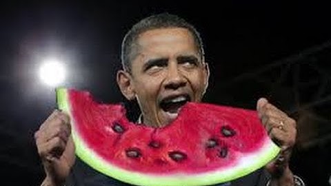 My Shitty Synergy RC so Far