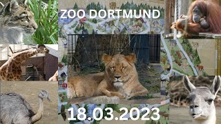Unser Besuch im Zoo Dortmund am 18.03.2023 - We visit the Zoo Dortmund